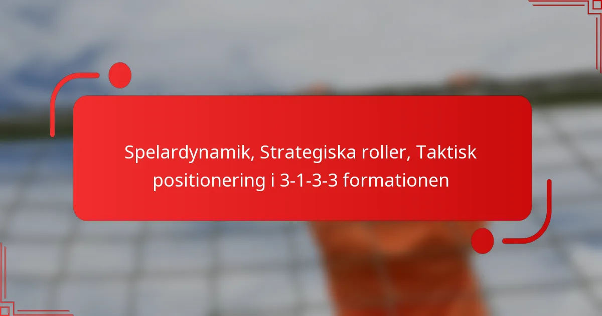Spelardynamik, Strategiska roller, Taktisk positionering i 3-1-3-3 formationen